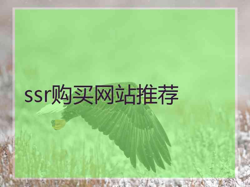 ssr购买网站推荐