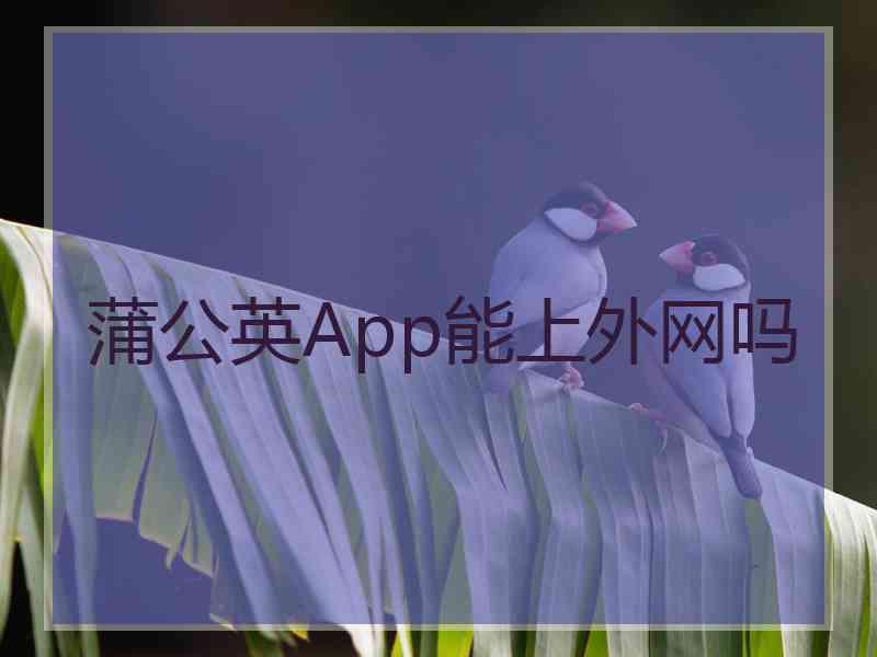 蒲公英App能上外网吗