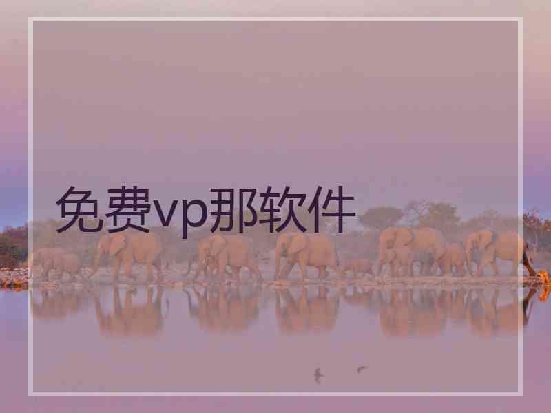 免费vp那软件