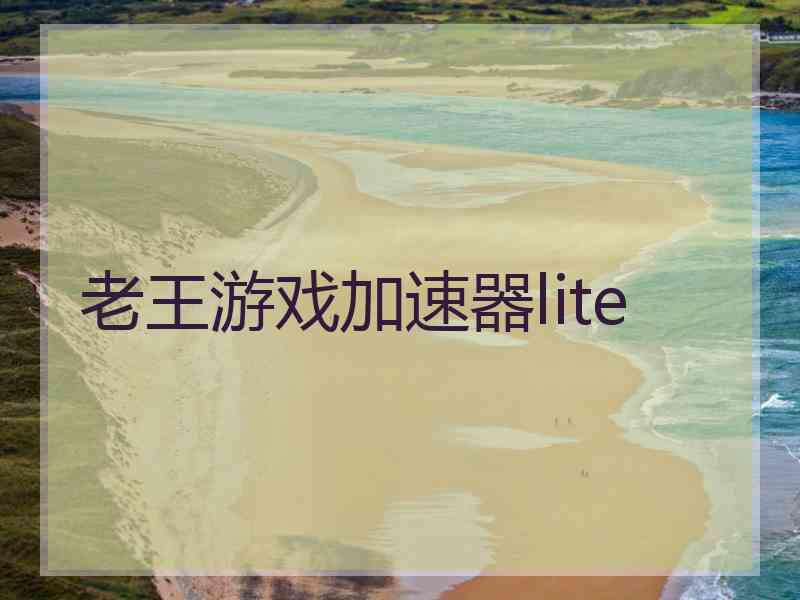 老王游戏加速器lite