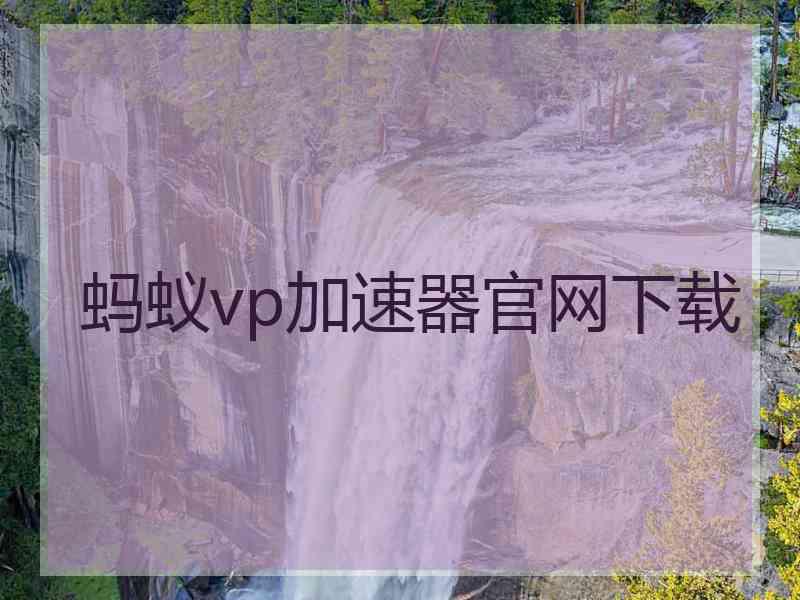 蚂蚁vp加速器官网下载