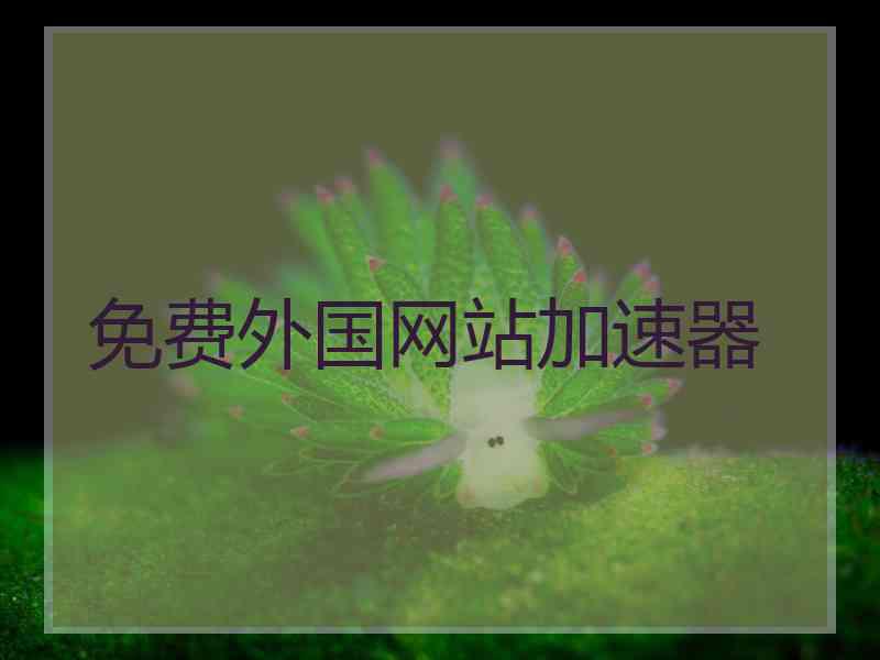 免费外国网站加速器
