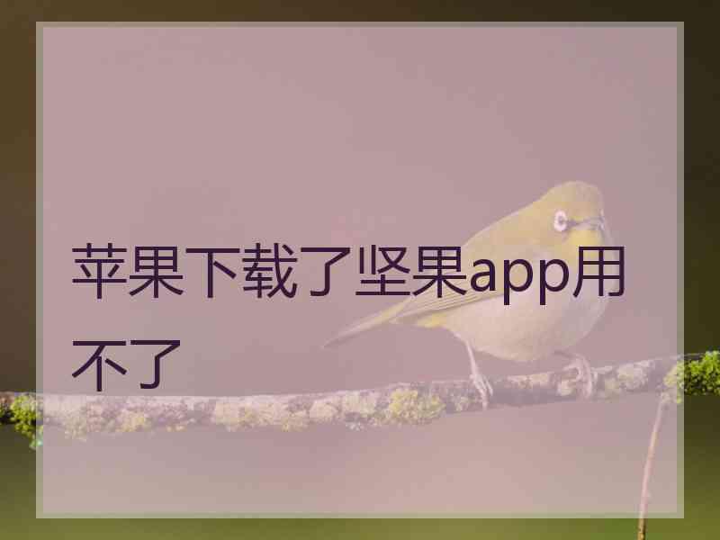 苹果下载了坚果app用不了