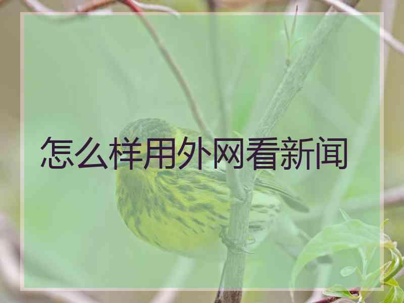 怎么样用外网看新闻