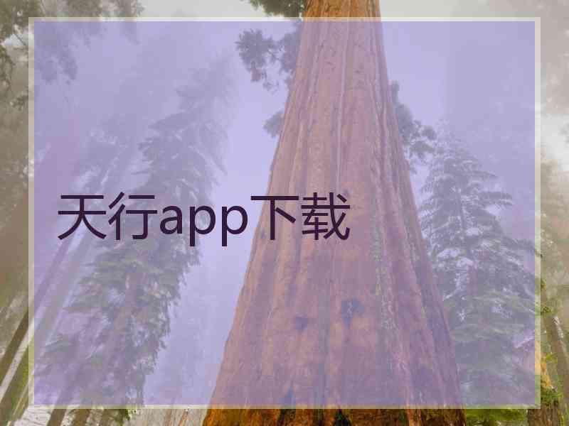 天行app下载