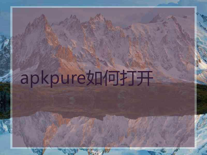 apkpure如何打开