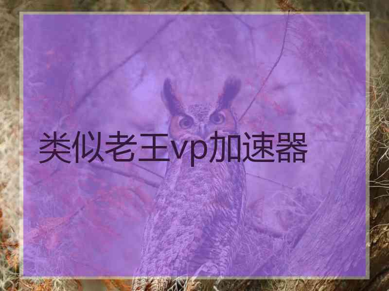 类似老王vp加速器