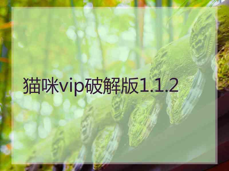 猫咪vip破解版1.1.2