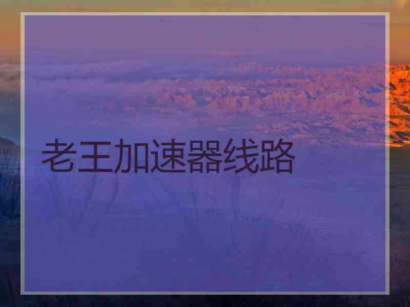 老王加速器线路