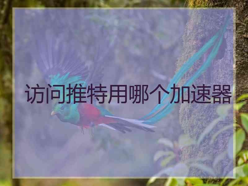访问推特用哪个加速器
