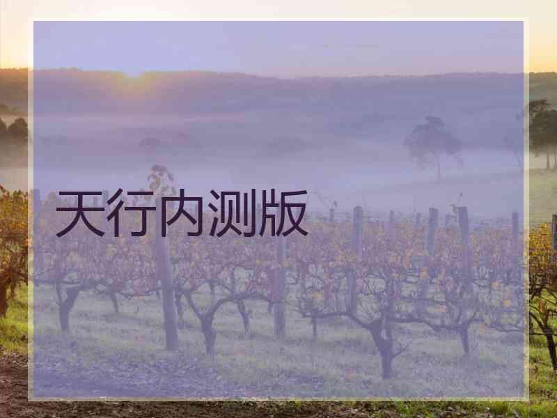 天行内测版