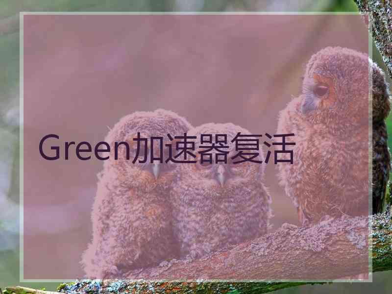 Green加速器复活