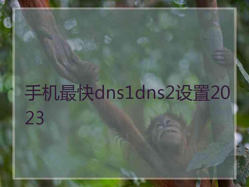 手机最快dns1dns2设置2023