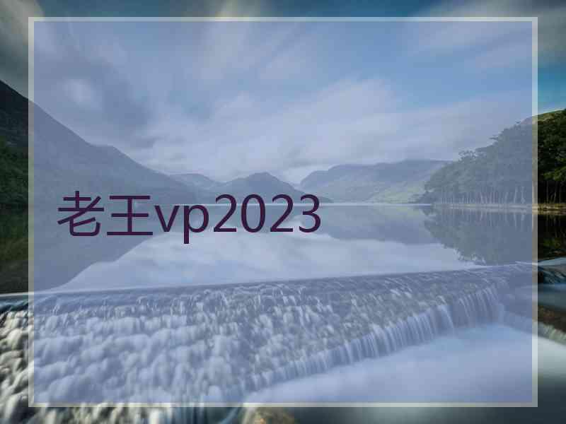 老王vp2023