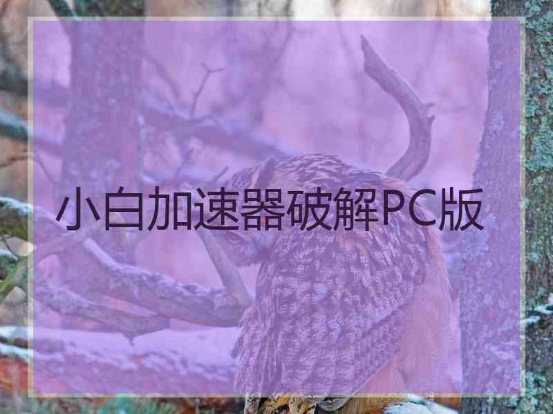 小白加速器破解PC版