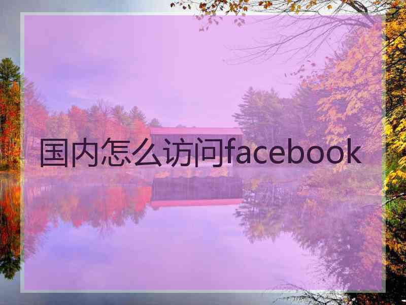 国内怎么访问facebook