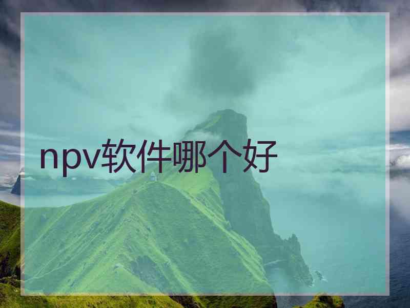 npv软件哪个好