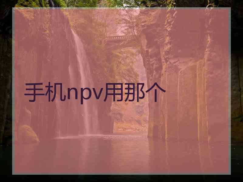 手机npv用那个