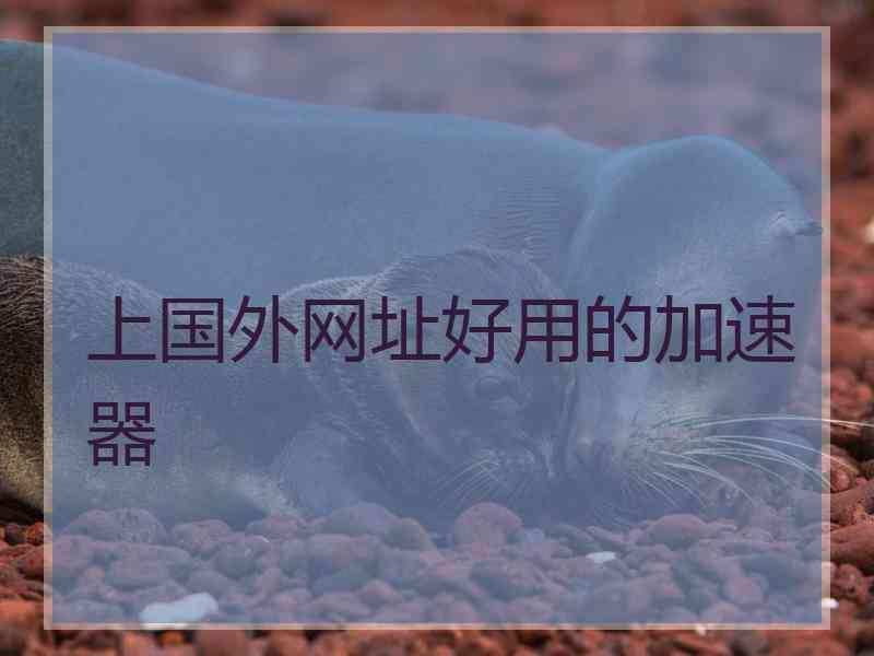 上国外网址好用的加速器