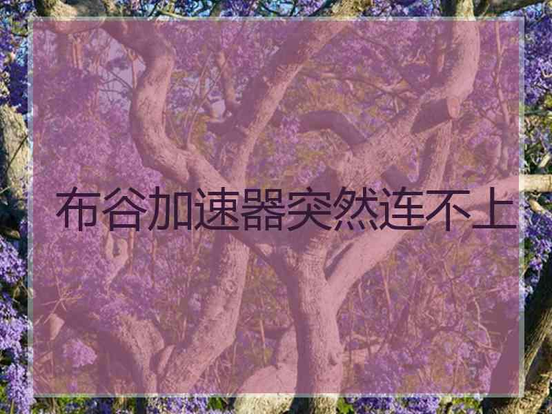 布谷加速器突然连不上