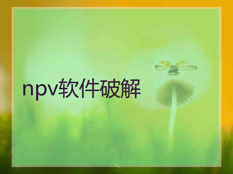 npv软件破解