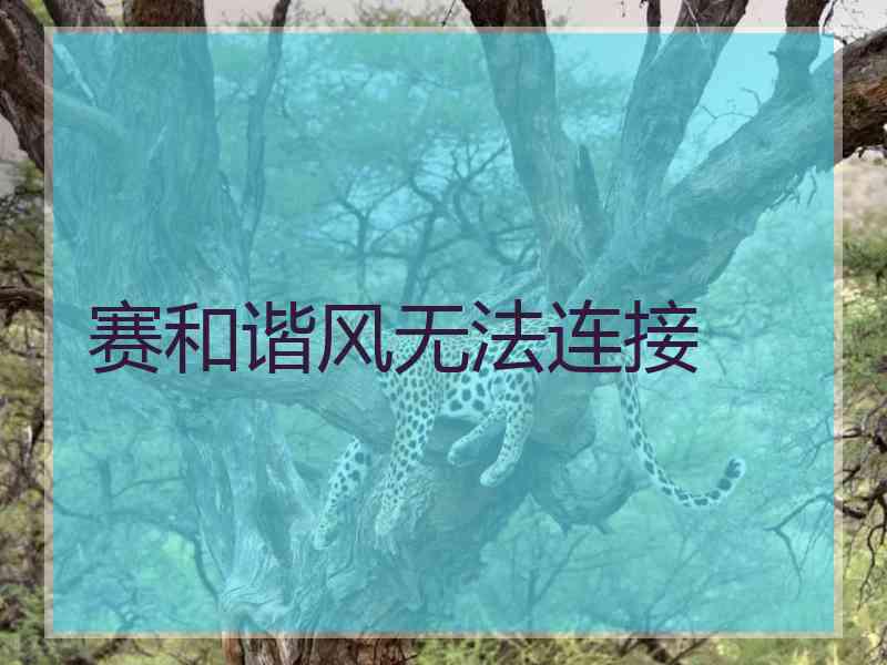 赛和谐风无法连接