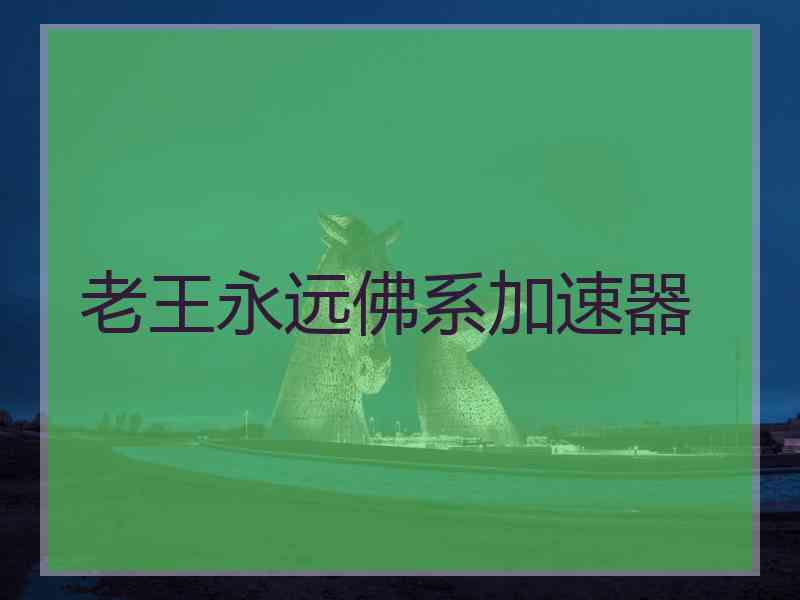 老王永远佛系加速器