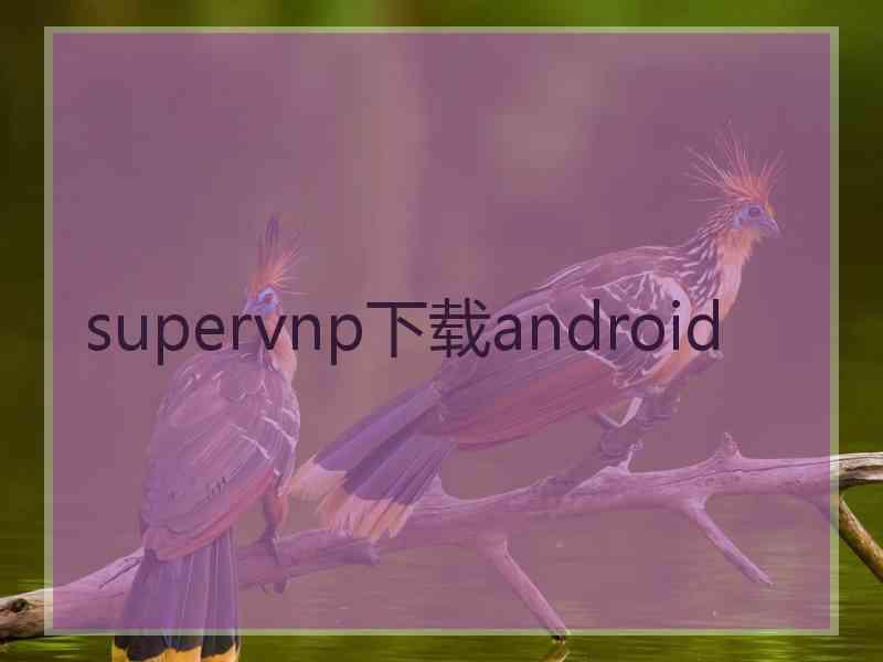 supervnp下载android