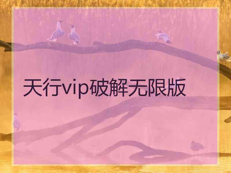 天行vip破解无限版