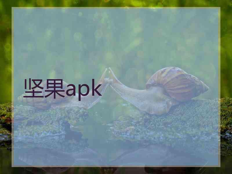 坚果apk