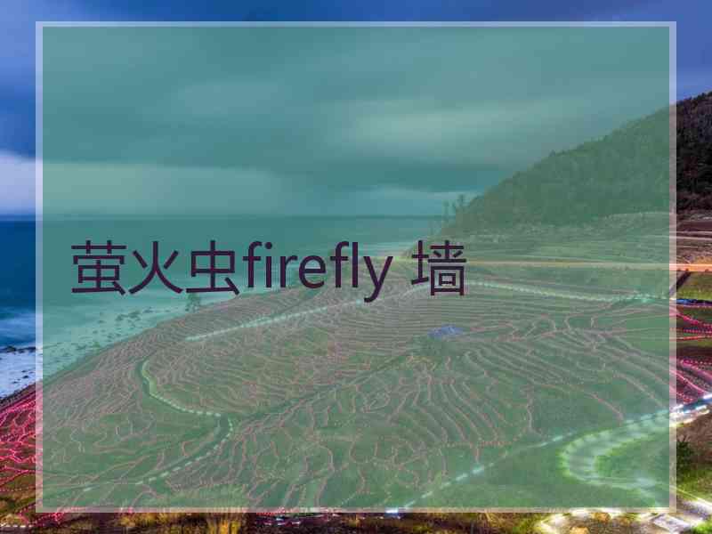 萤火虫firefly 墙