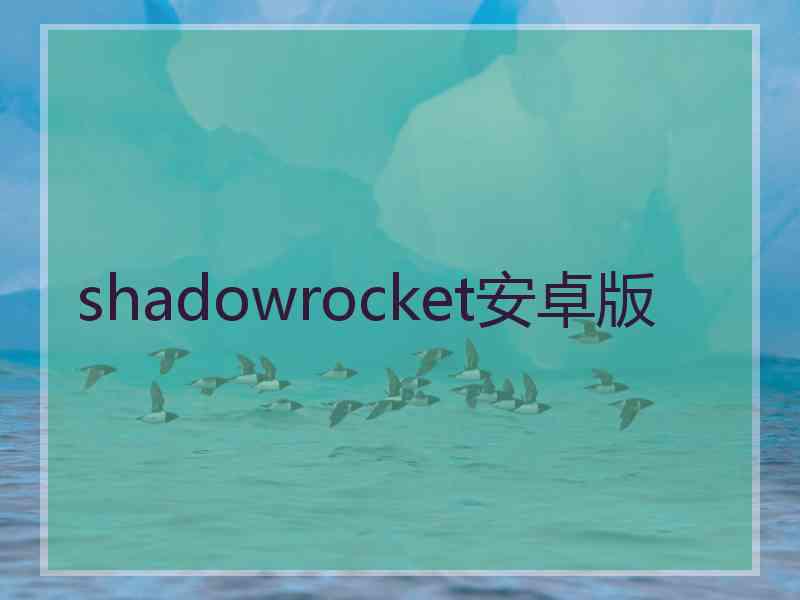 shadowrocket安卓版