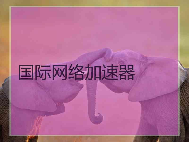 国际网络加速器