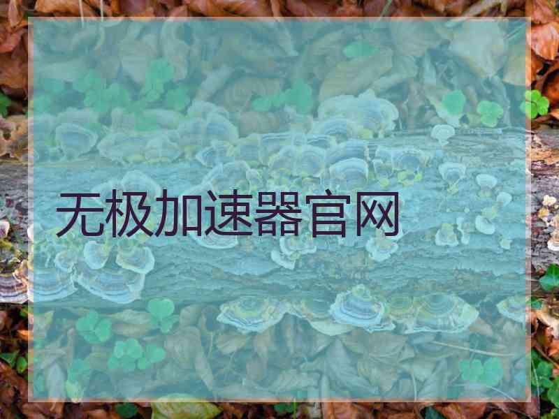 无极加速器官网