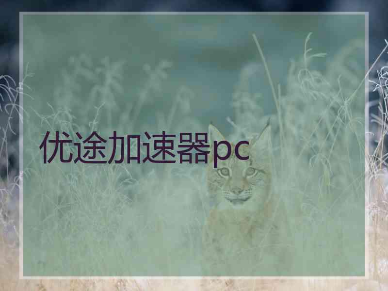 优途加速器pc