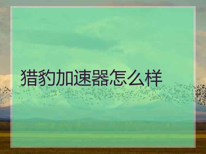 猎豹加速器怎么样