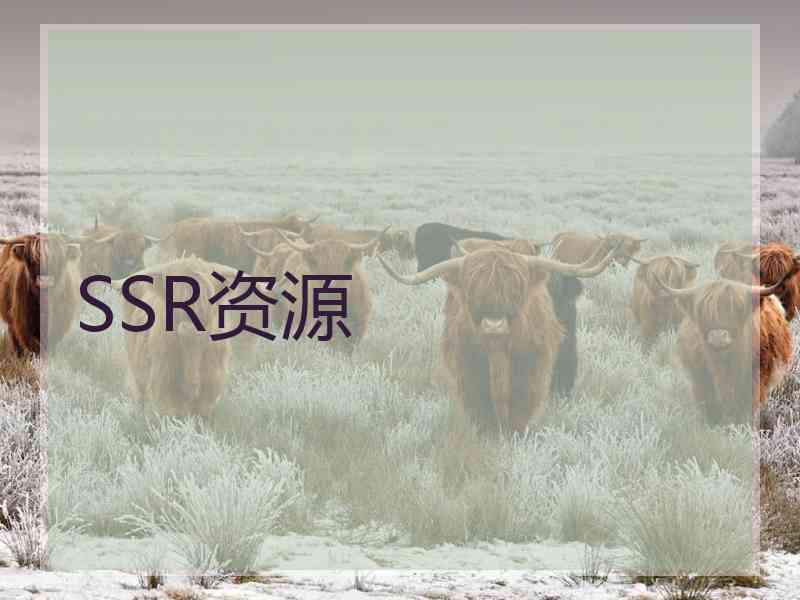 SSR资源