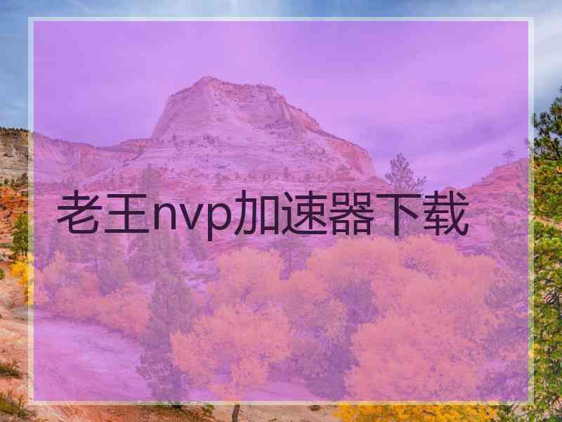 老王nvp加速器下载