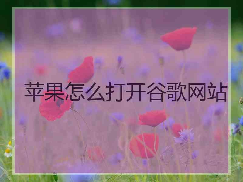 苹果怎么打开谷歌网站