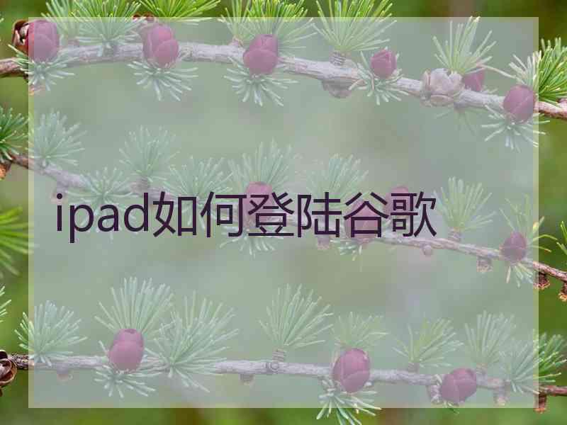 ipad如何登陆谷歌