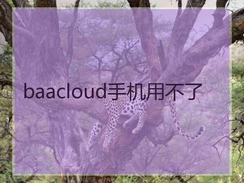 baacloud手机用不了