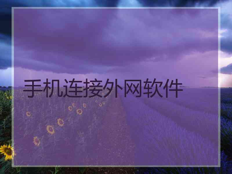 手机连接外网软件