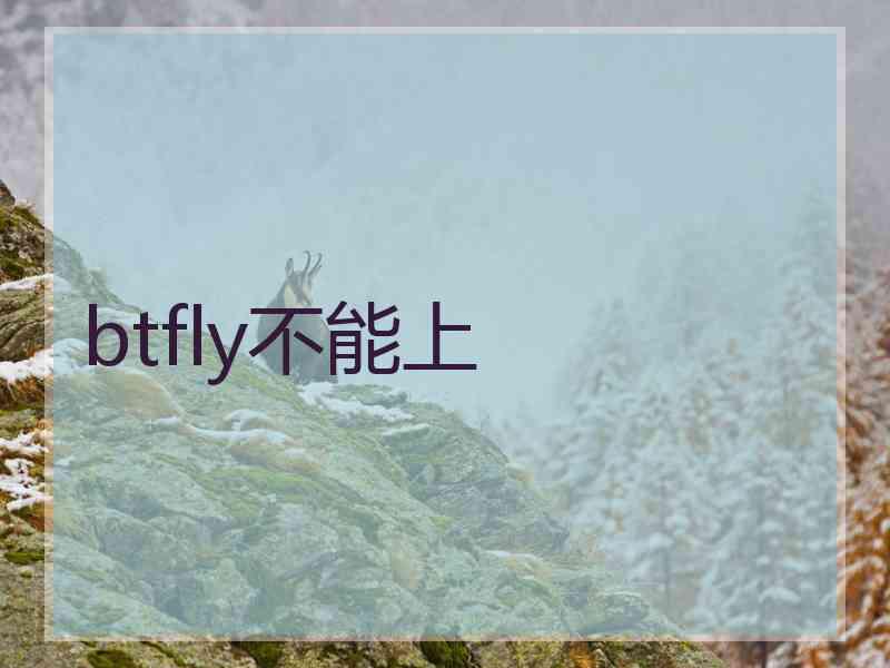 btfly不能上