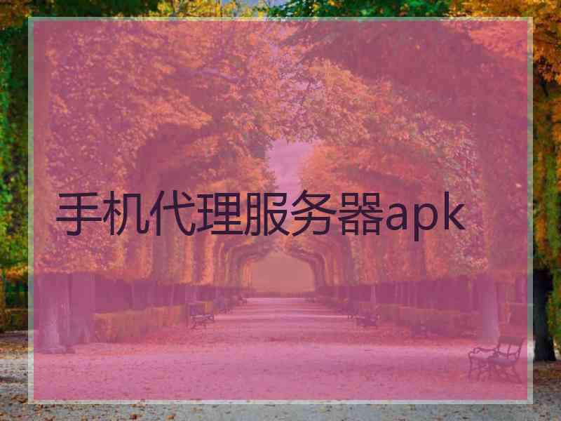 手机代理服务器apk