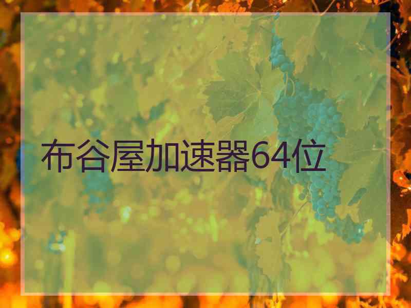 布谷屋加速器64位