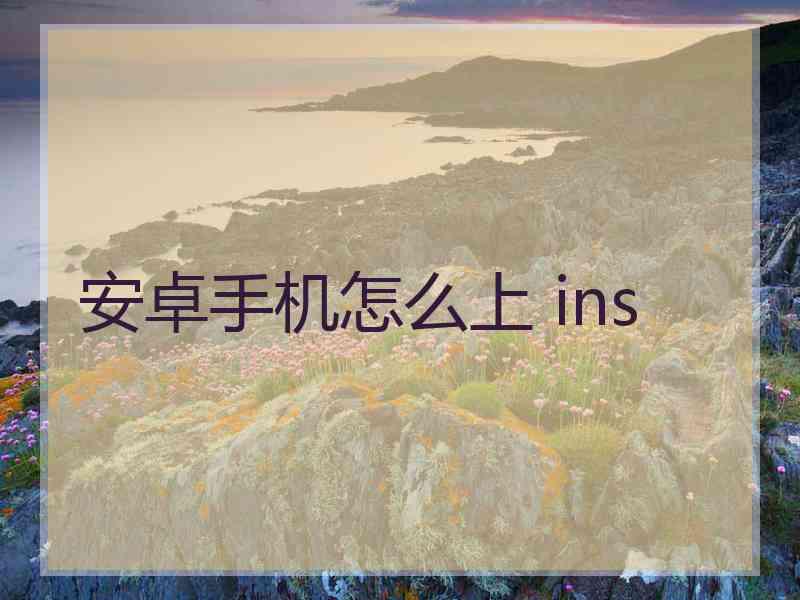 安卓手机怎么上 ins