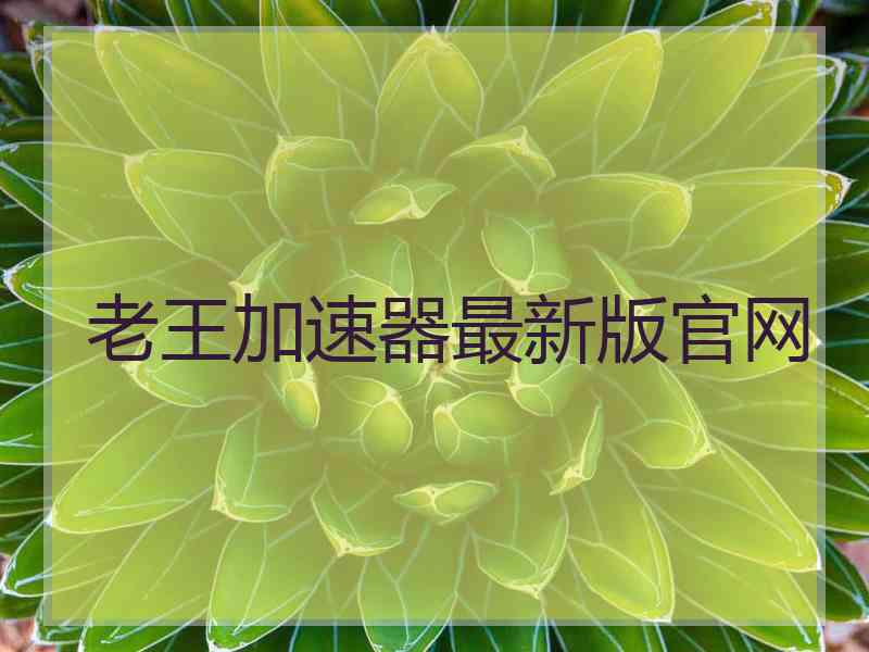 老王加速器最新版官网