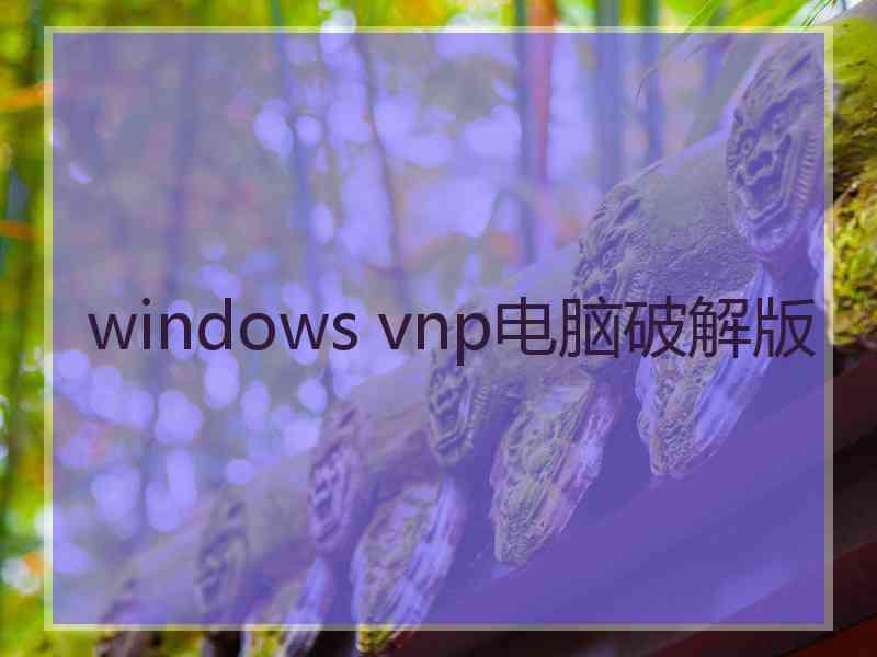 windows vnp电脑破解版