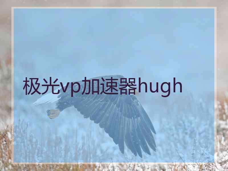 极光vp加速器hugh