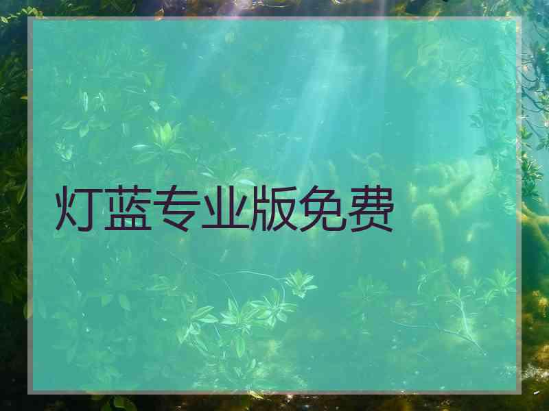 灯蓝专业版免费